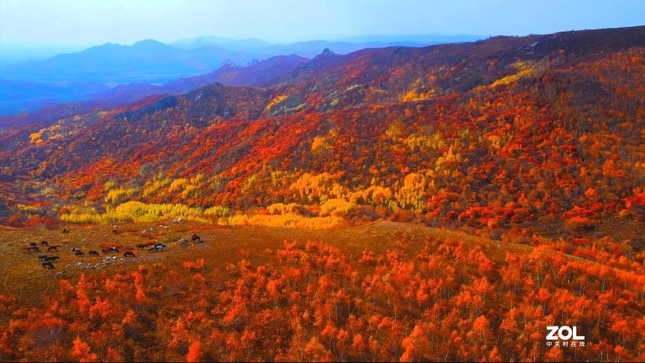 不来乌兰坝，怎知秋色如此撩人