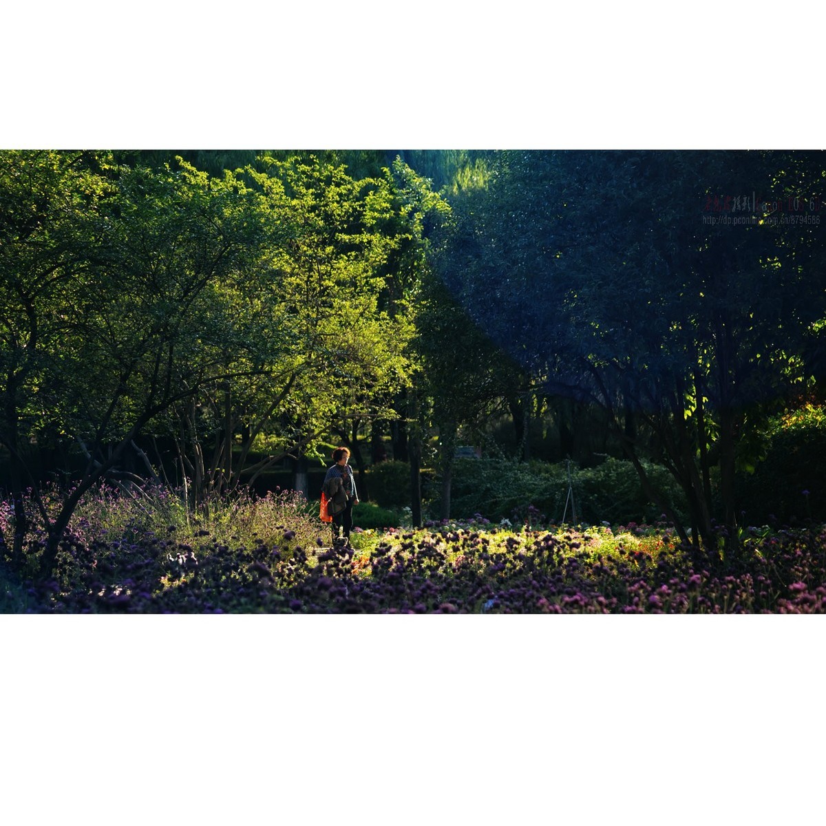 阔别一个月的太阳