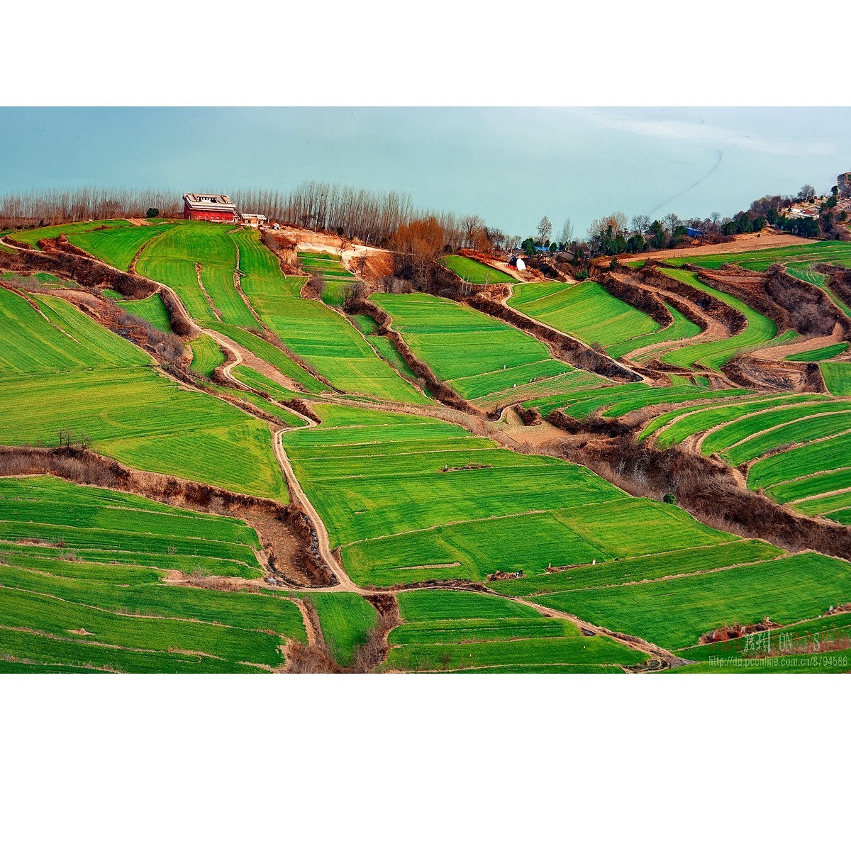 陕西宝鸡蟠龙塬望远