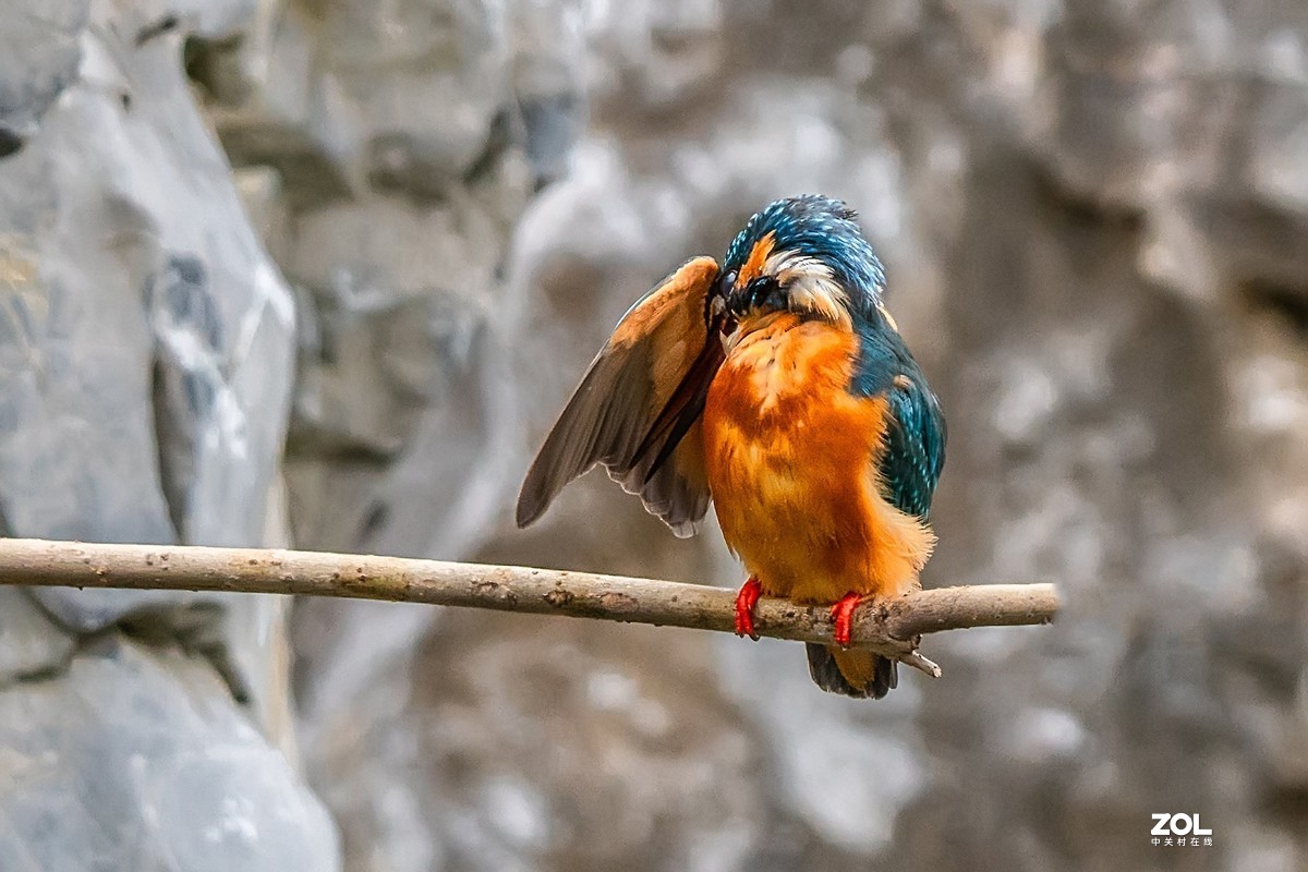 爱美会打扮的小翠