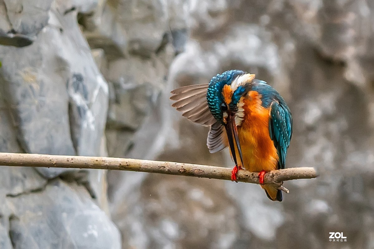 爱美会打扮的小翠