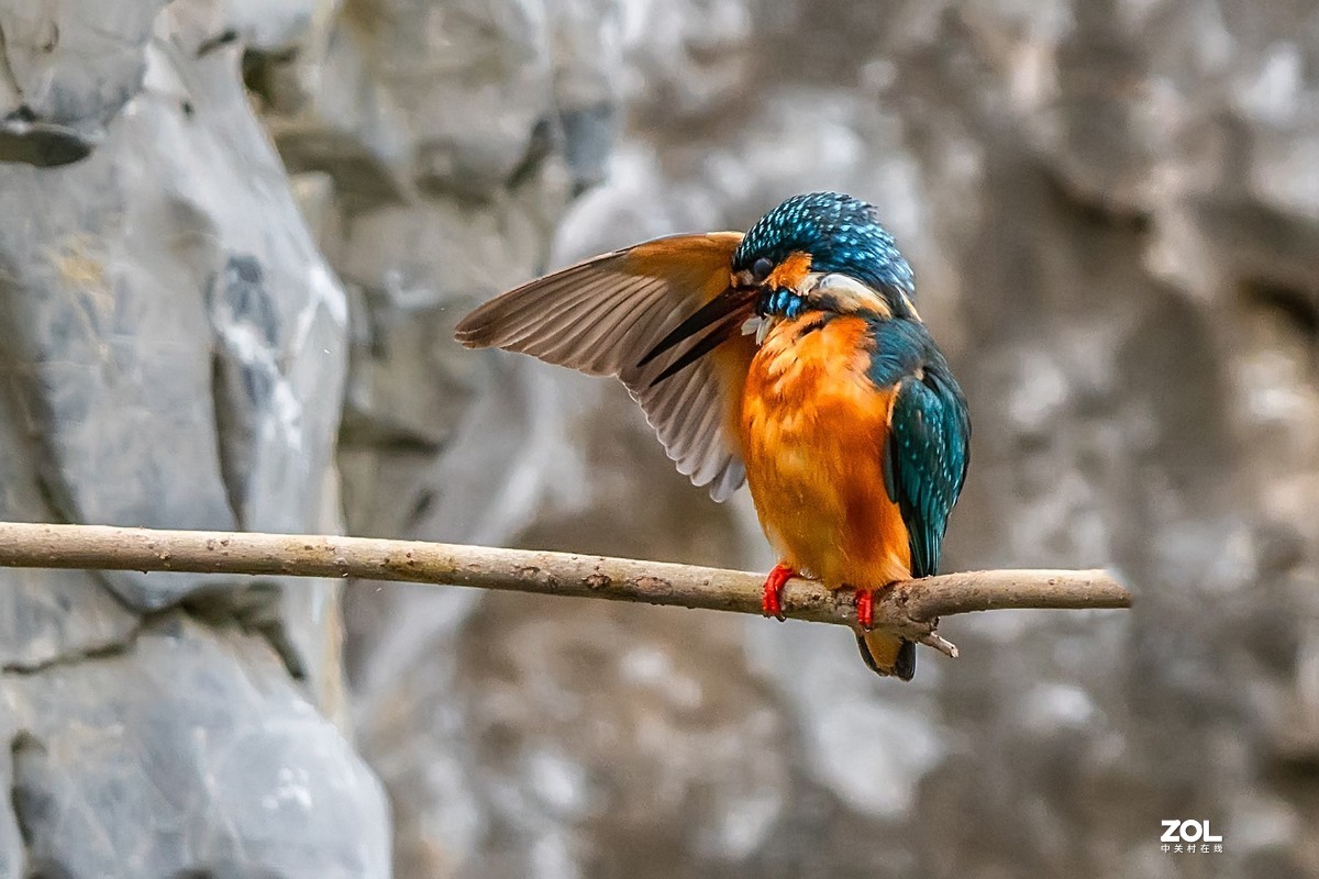 爱美会打扮的小翠