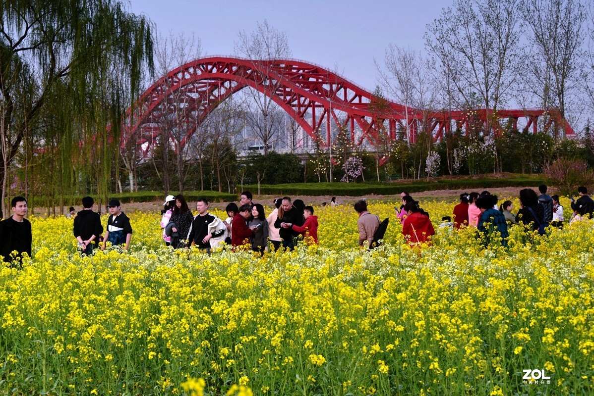 春花之多彩油菜花（10P），祝大家劳动节快乐！
