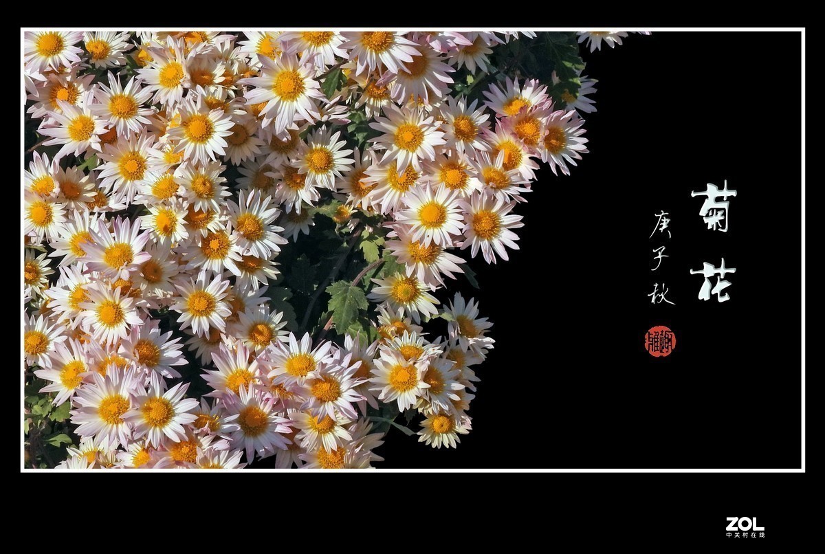 #版主坐堂#小五星空(中国)2020年11月精品荟萃