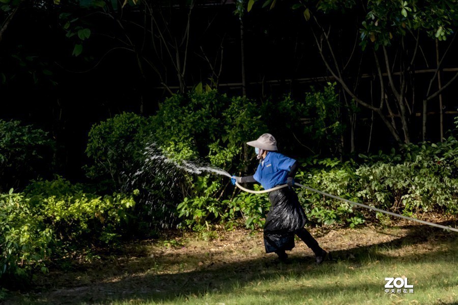 #版主坐堂#小五星空(中国)2020年11月精品荟萃