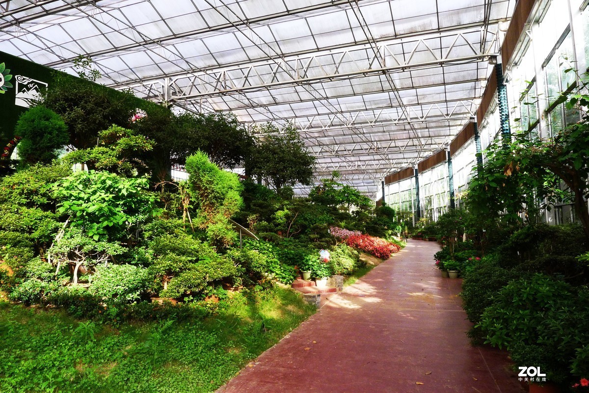 太乙仙山植物园图片图片