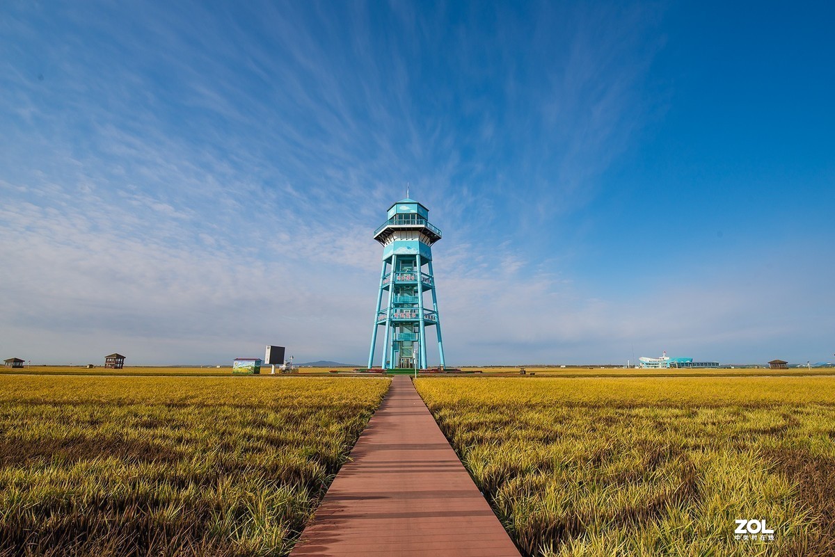 #版主坐堂#小五星空(中国)2020年11月精品荟萃