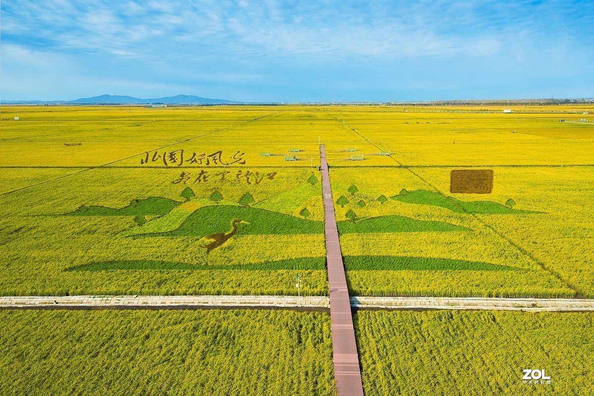 #版主坐堂#小五星空(中国)2020年11月精品荟萃