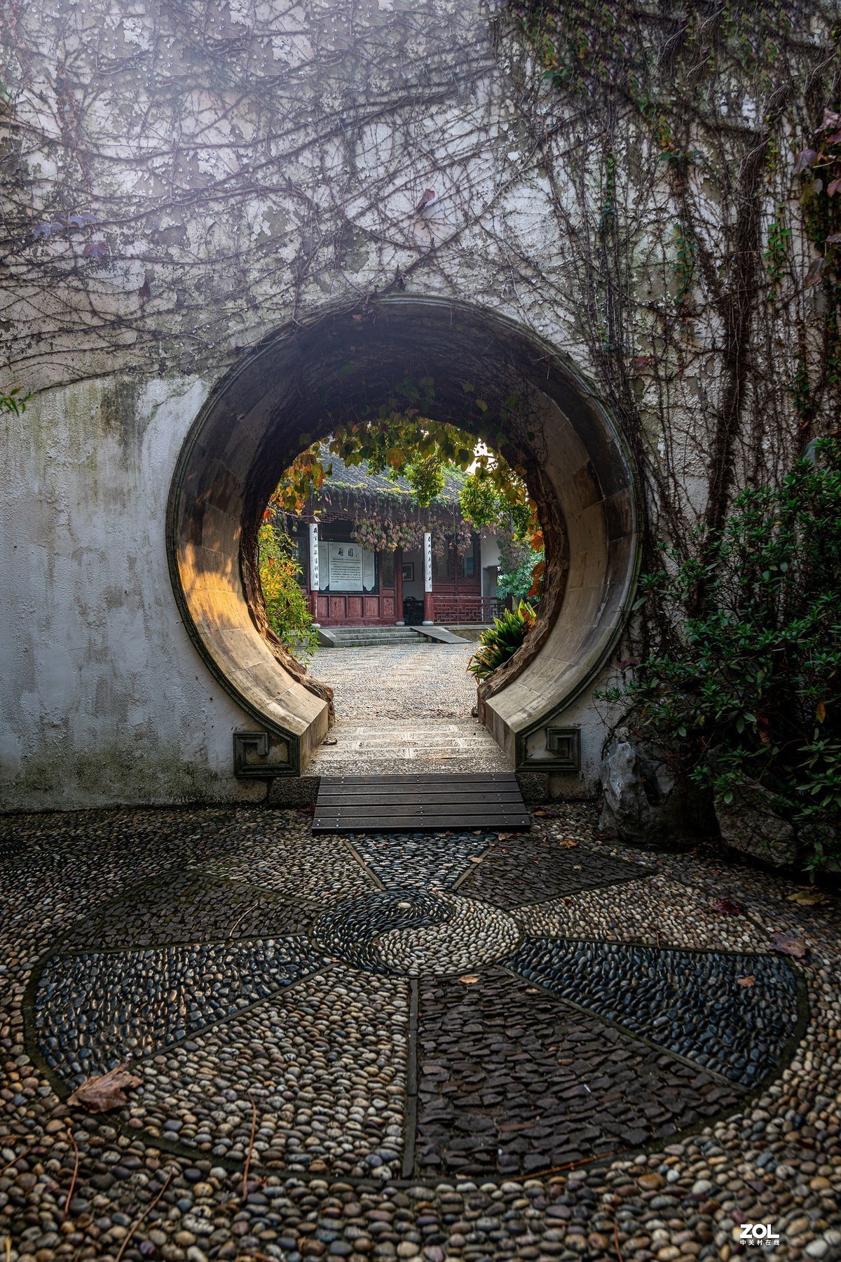 #版主坐堂#小五星空(中国)2020年11月精品荟萃