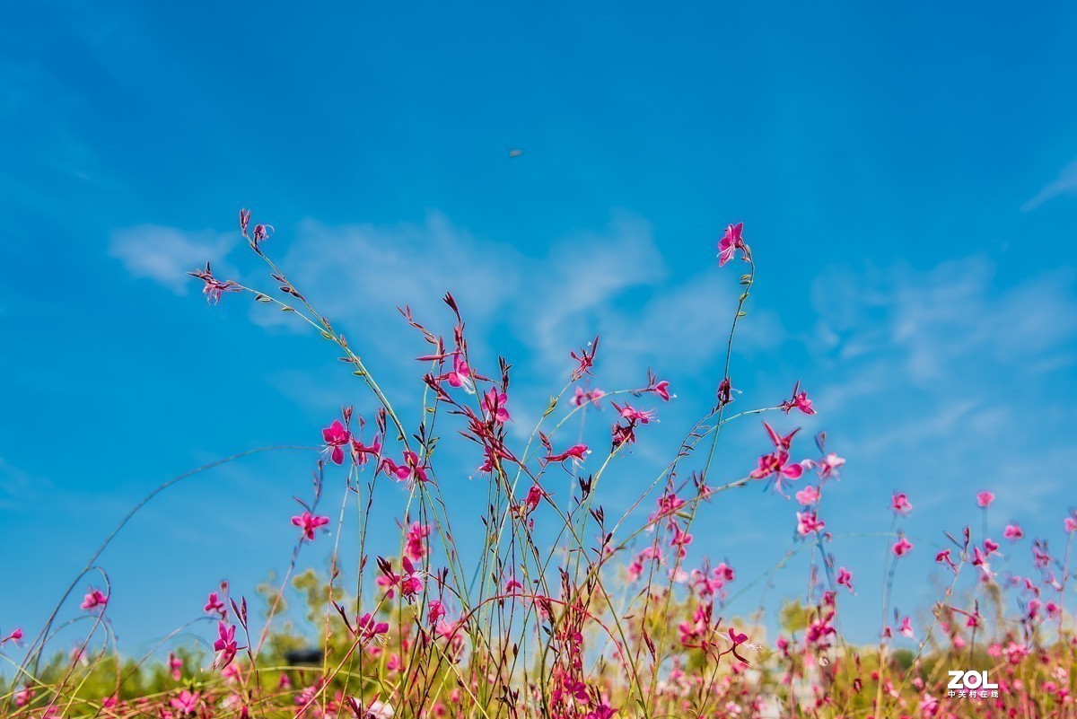 #版主坐堂#小五星空(中国)2020年11月精品荟萃