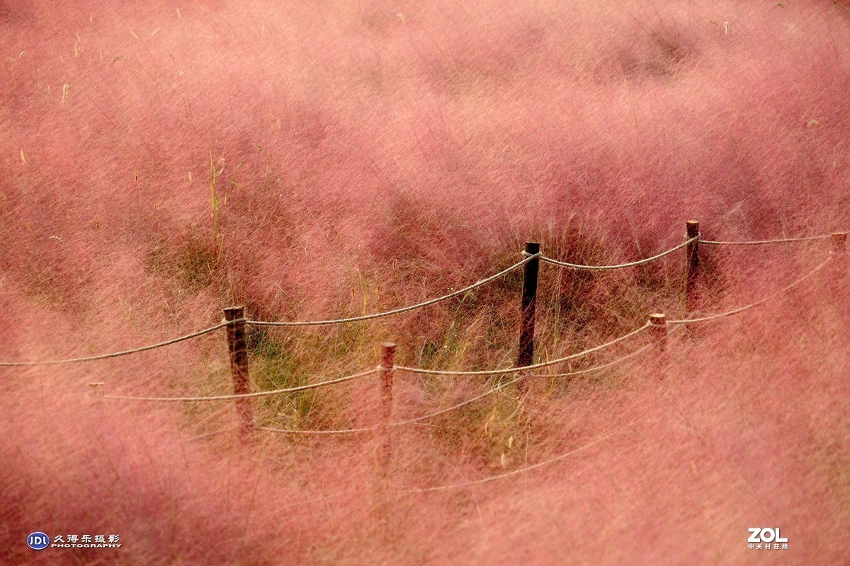 #版主坐堂#小五星空(中国)2020年11月精品荟萃