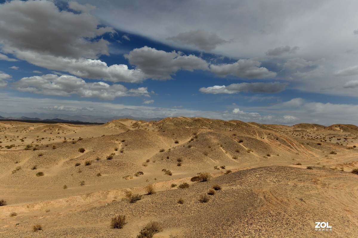 #版主坐堂#小五星空(中国)2020年11月精品荟萃