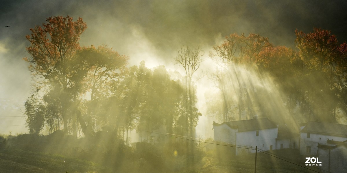 #版主坐堂#小五星空(中国)2020年11月精品荟萃