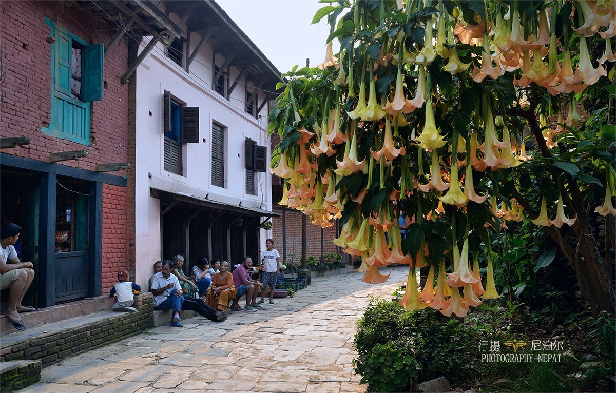 重拾余片  再次神游尼泊尔！