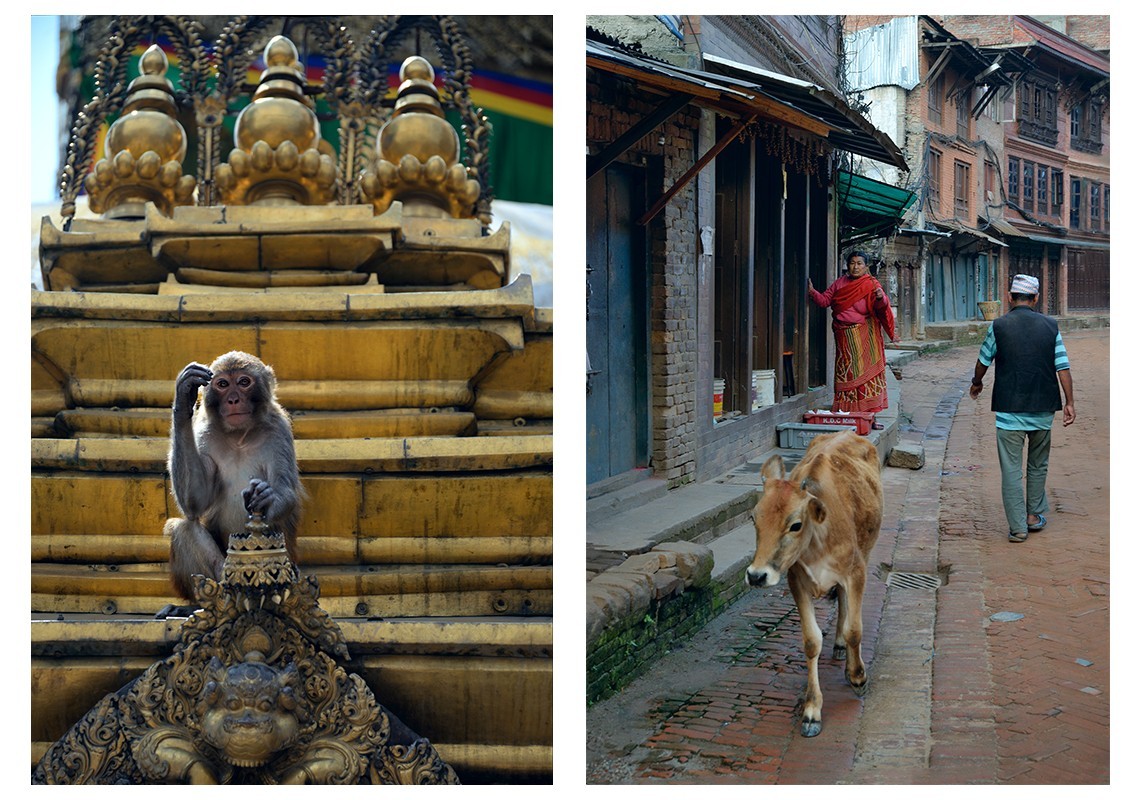 重拾余片  再次神游尼泊尔！