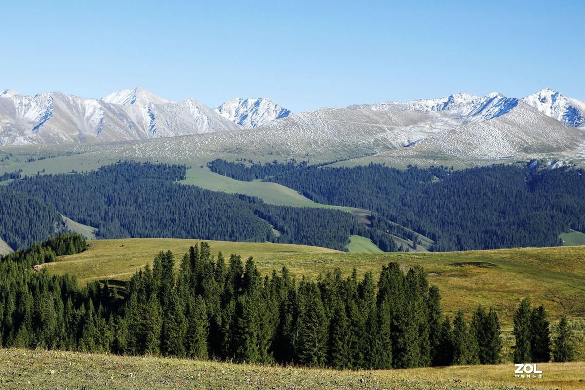 美丽的喀拉峻 草原