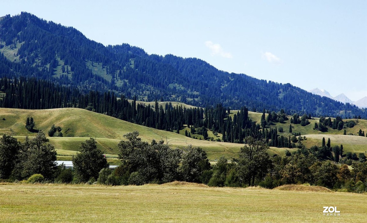 美丽的喀拉峻 草原