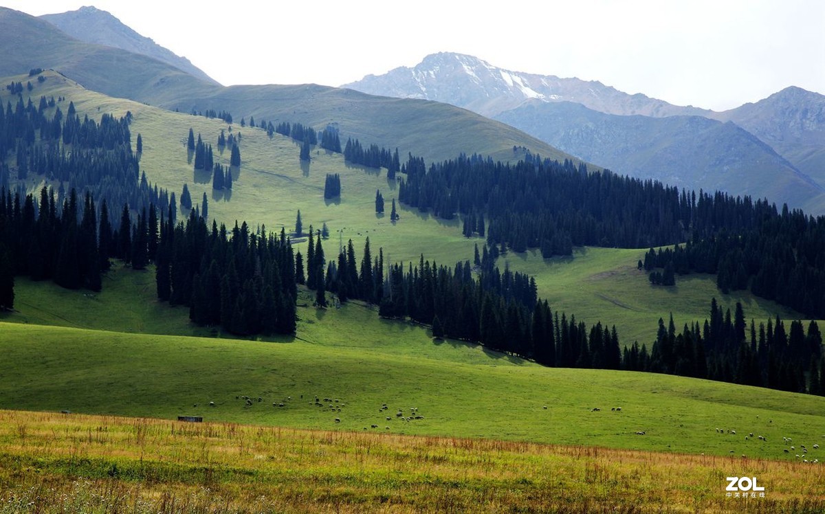 美丽的喀拉峻 草原