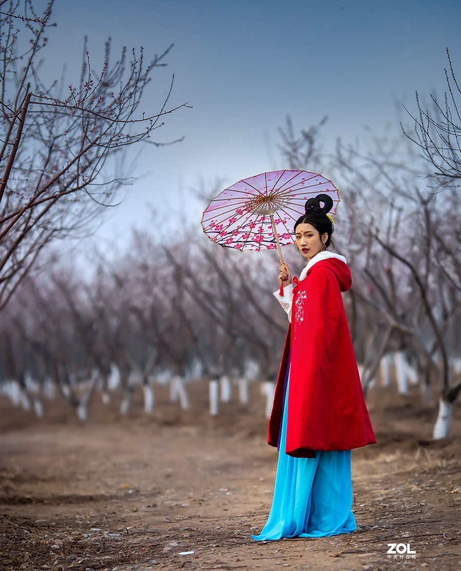 挑花依旧笑春风  【学拍环境人像】