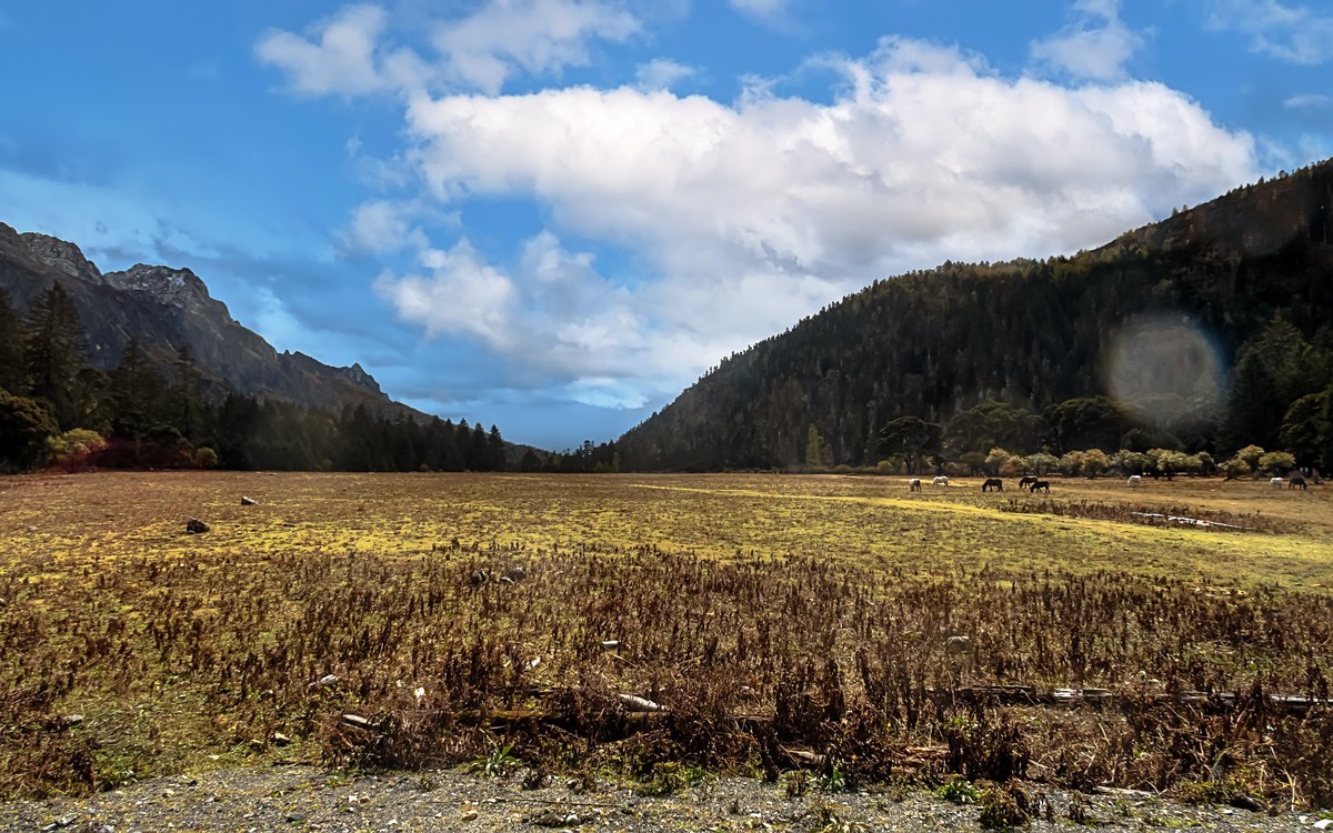 2019.10.川西风光随拍（之十）九龙 · 伍须海