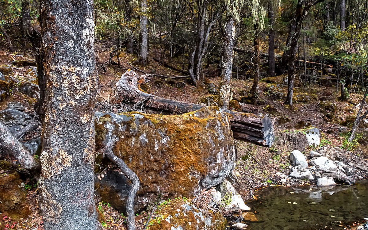 2019.10.川西风光随拍（之十）九龙 · 伍须海