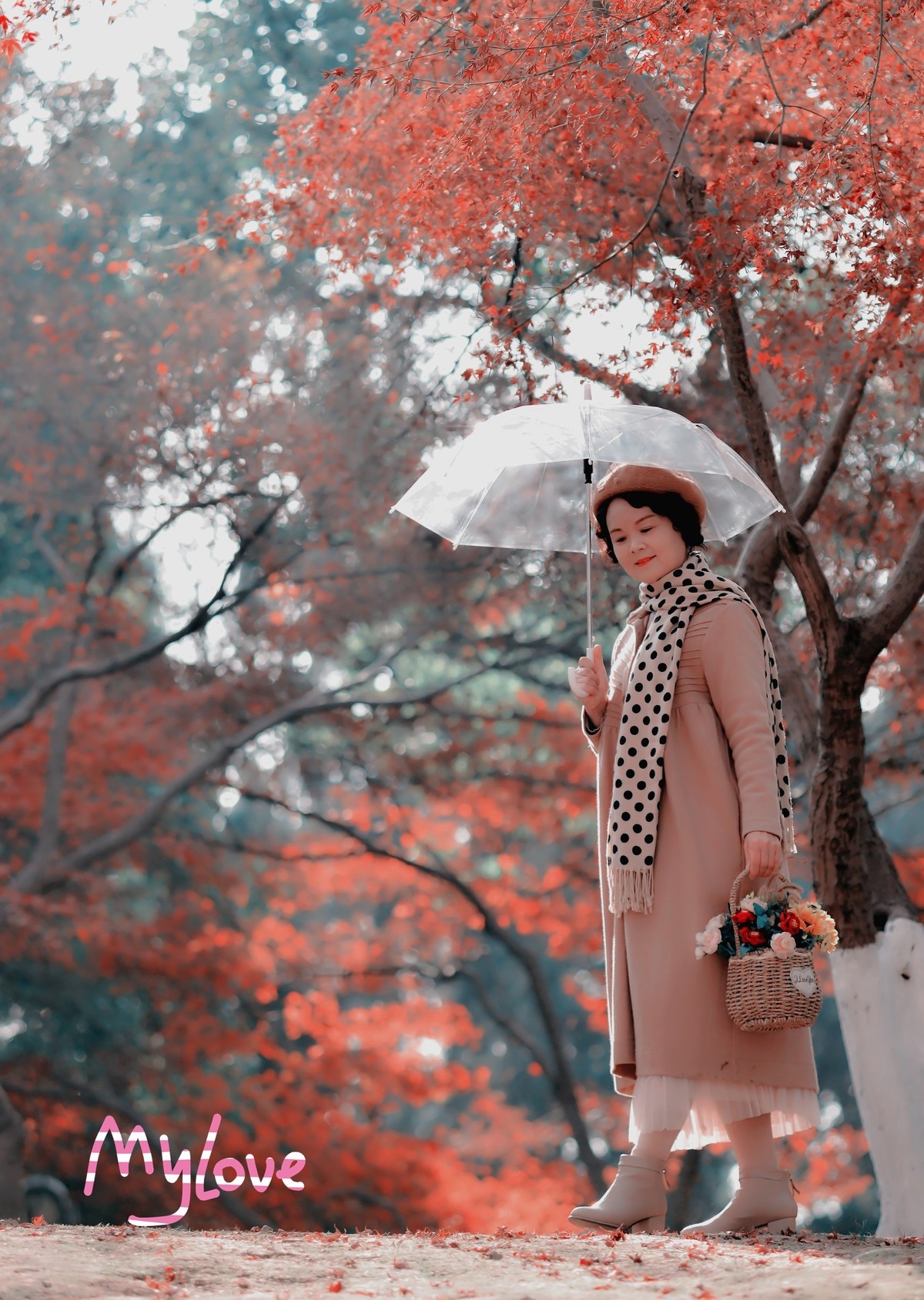 红叶树下，令人陶醉。