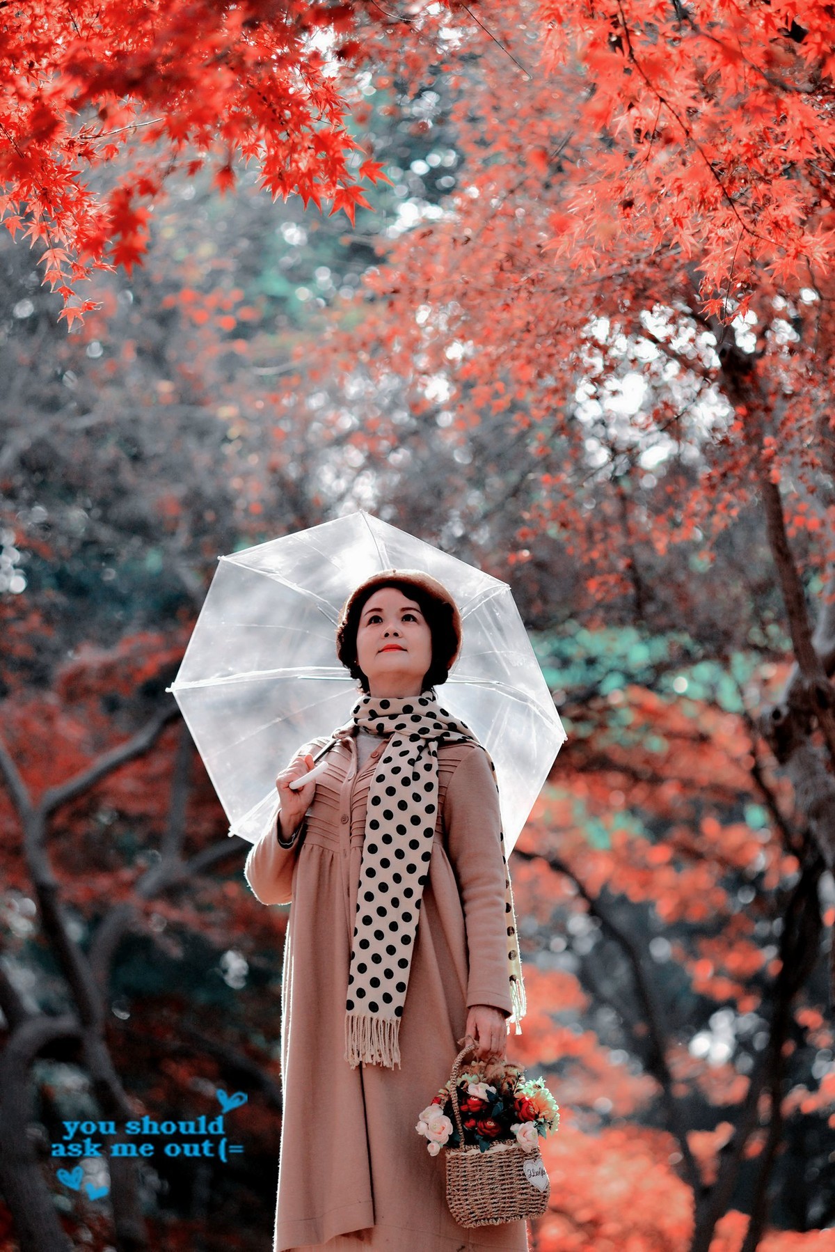 红叶树下，令人陶醉。