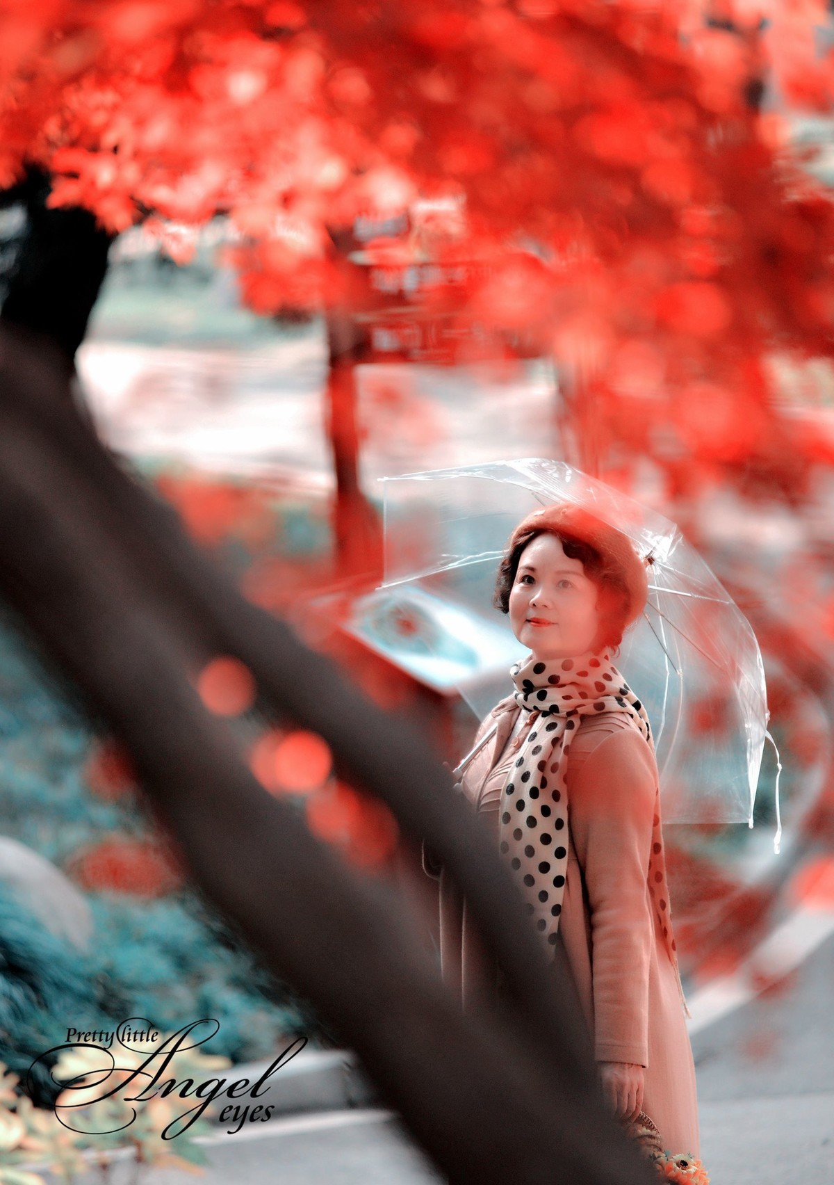 红叶树下，令人陶醉。