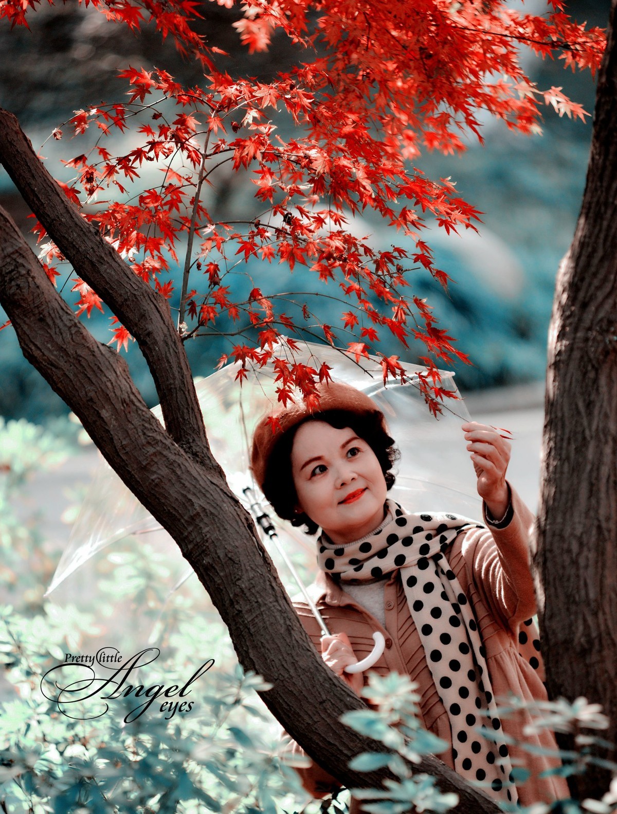 红叶树下，令人陶醉。