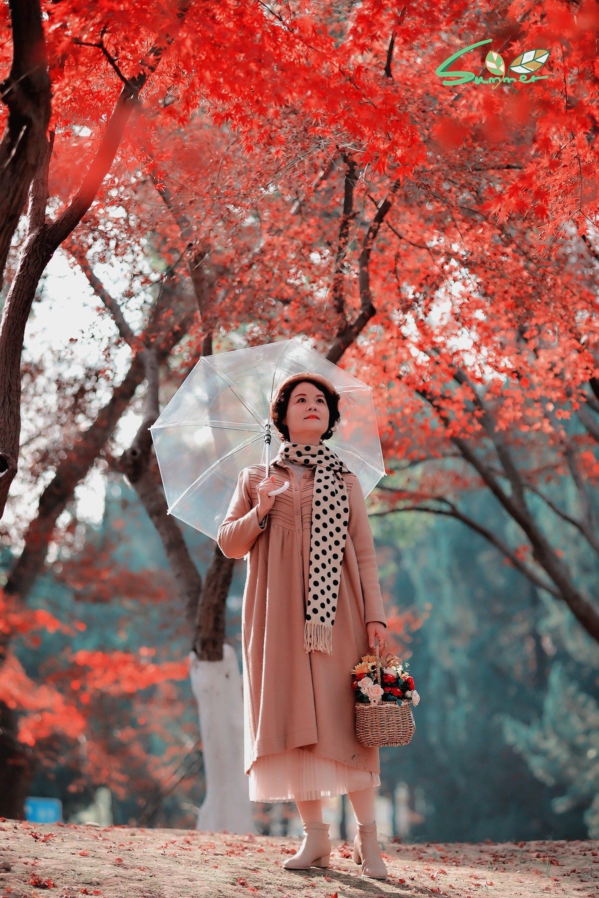 红叶树下，令人陶醉。