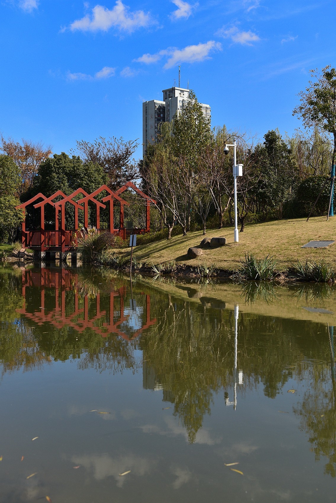 上海浦东张江主题公园风景上