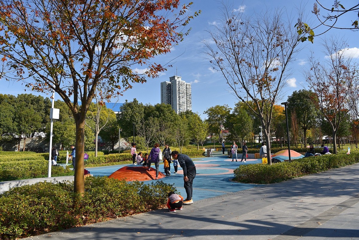 上海浦东张江主题公园风景上