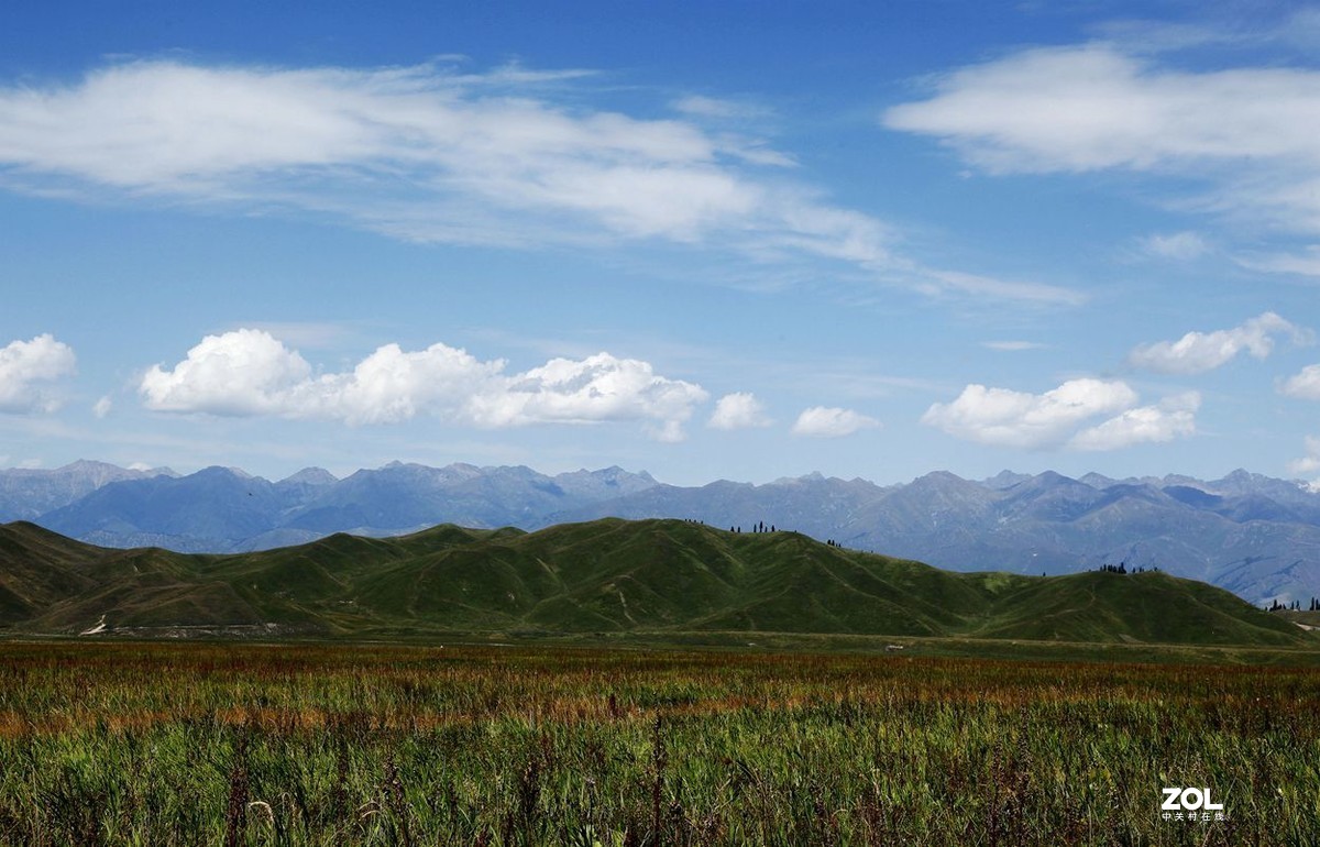 美丽的喀拉峻 草原