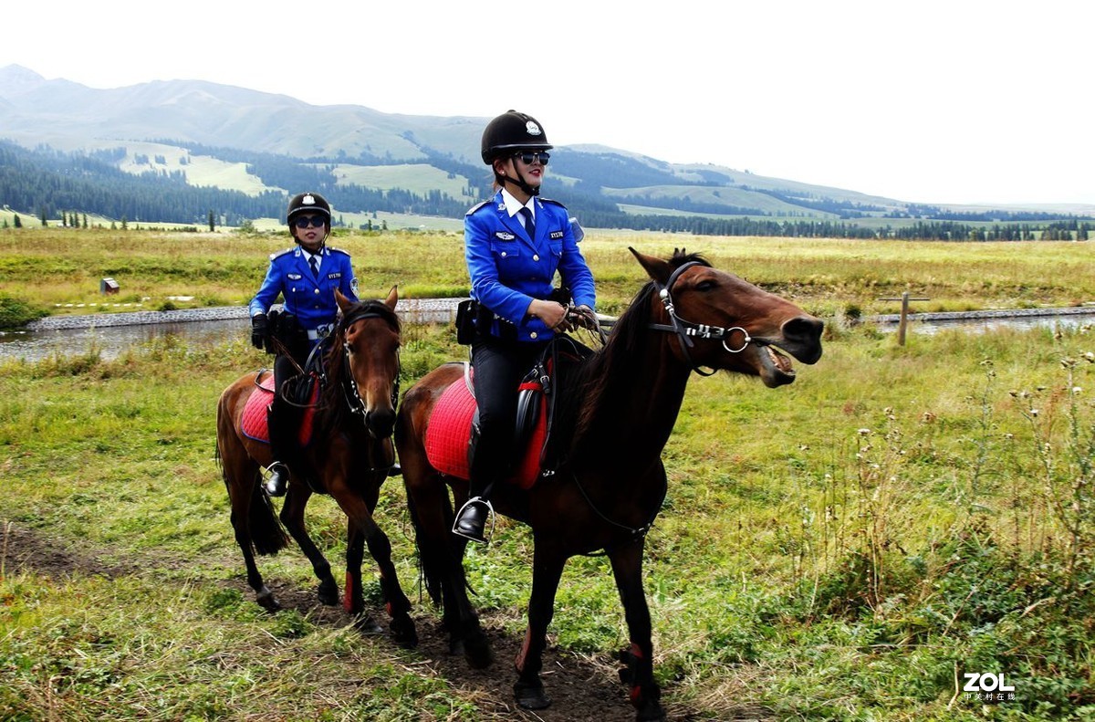 美丽的喀拉峻 草原