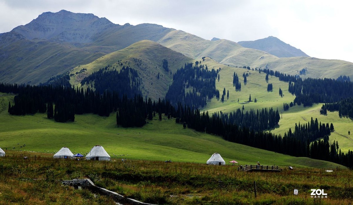 美丽的喀拉峻 草原