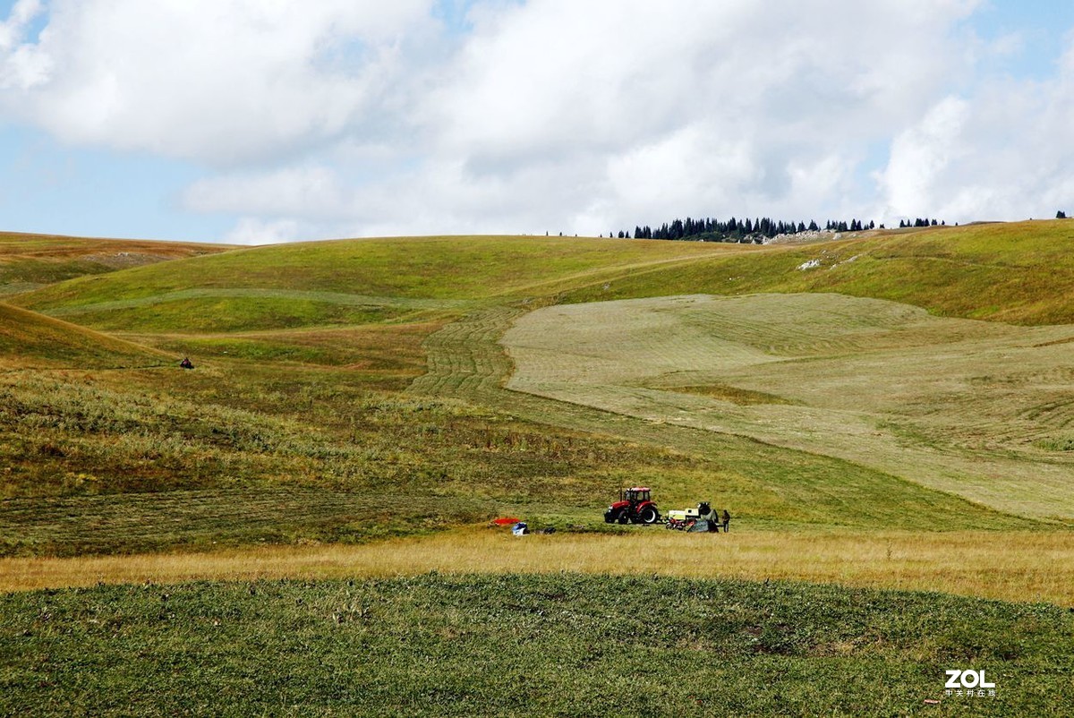 美丽的喀拉峻 草原