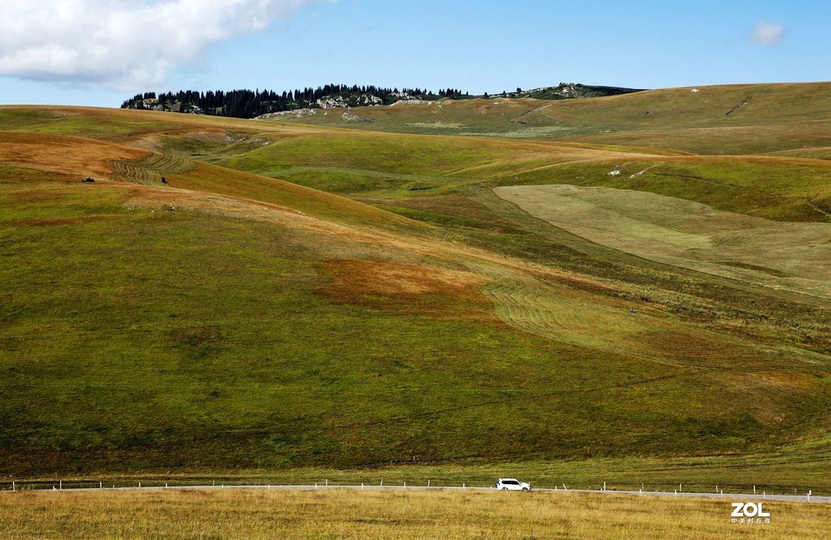 美丽的喀拉峻 草原