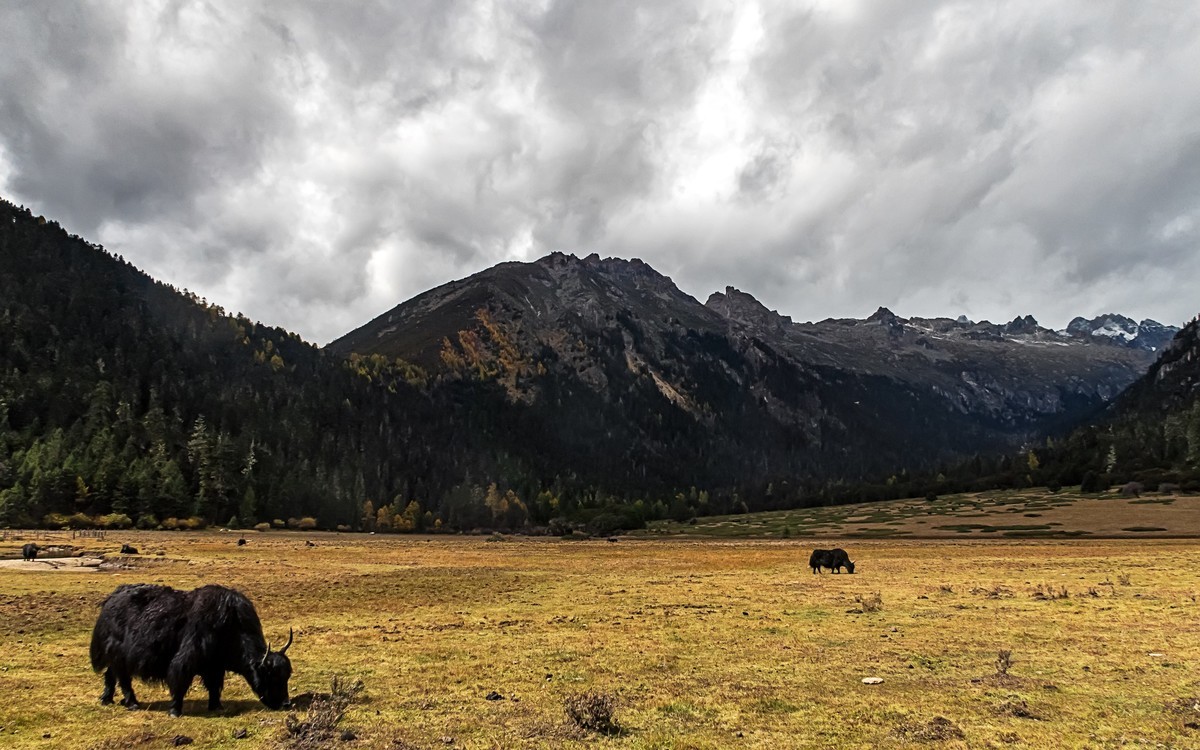 2019.10.川西风光随拍（之十）九龙 · 伍须海
