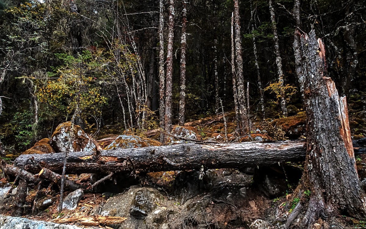 2019.10.川西风光随拍（之十）九龙 · 伍须海