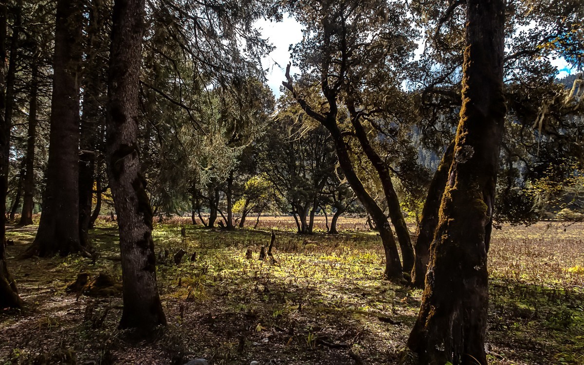 2019.10.川西风光随拍（之十）九龙 · 伍须海