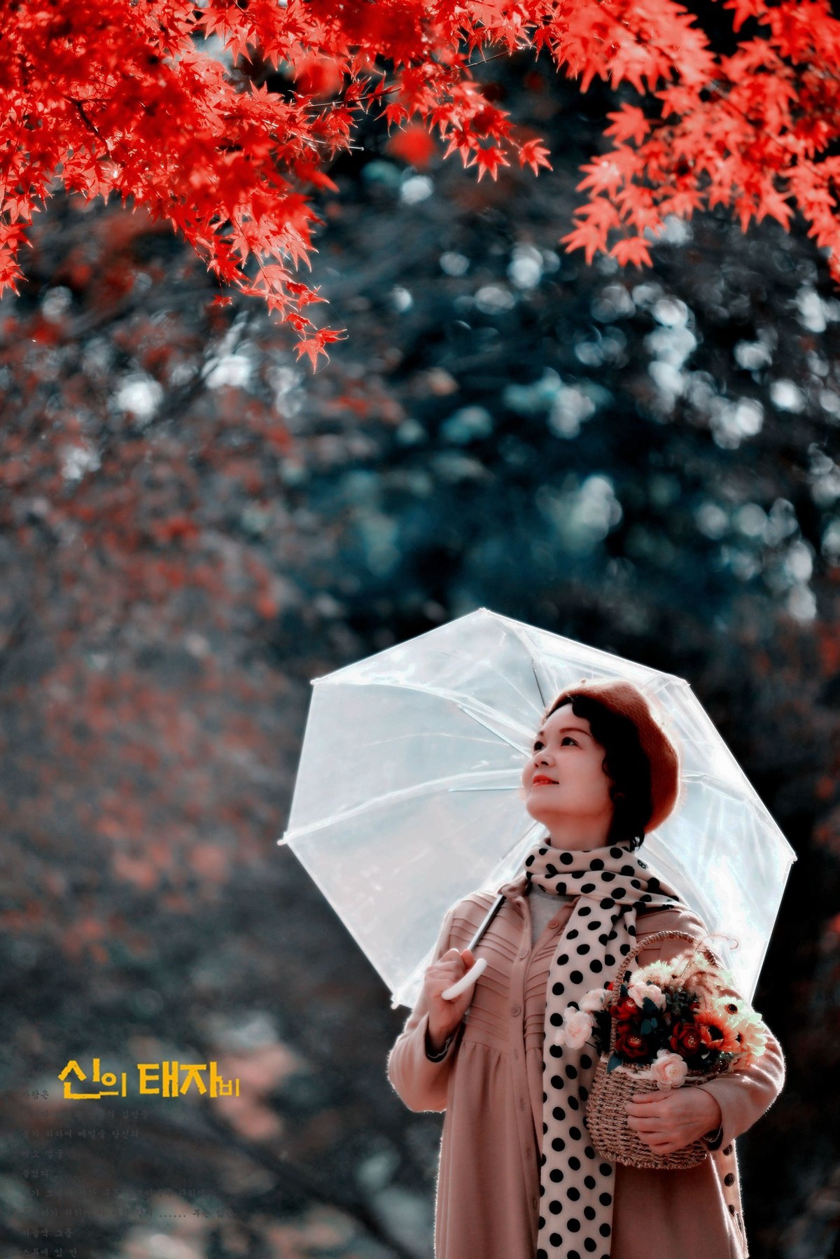 红叶树下，令人陶醉。