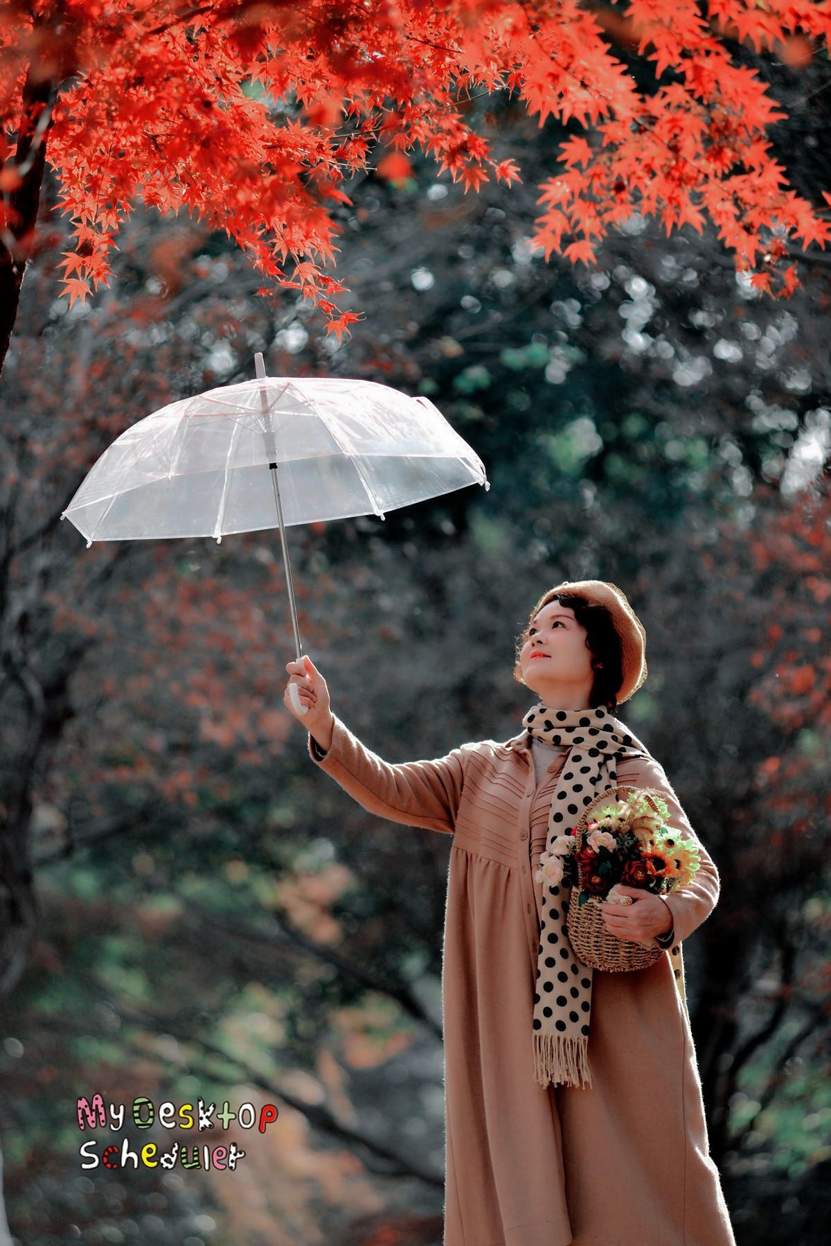 红叶树下，令人陶醉。