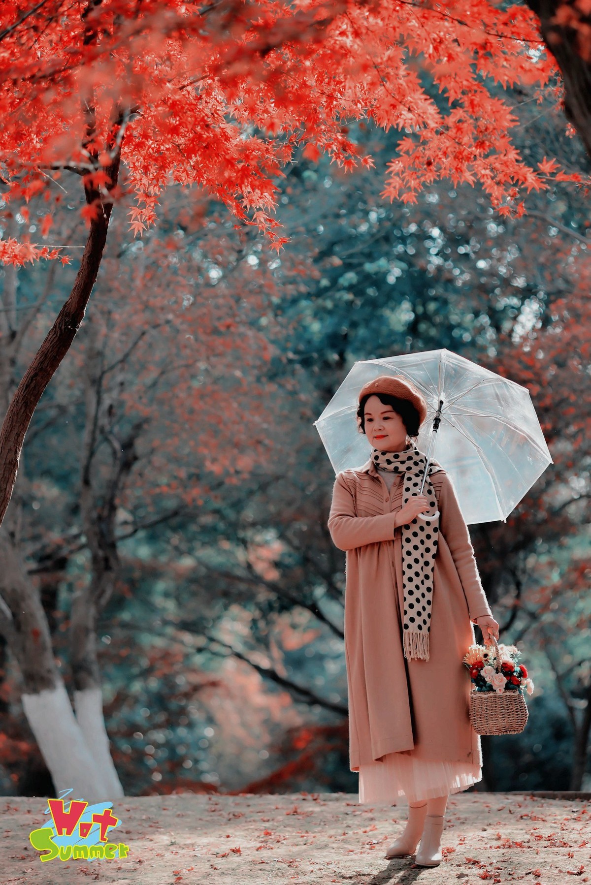 红叶树下，令人陶醉。