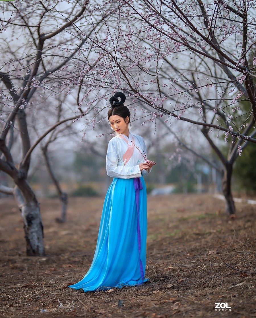 挑花依旧笑春风  【学拍环境人像】