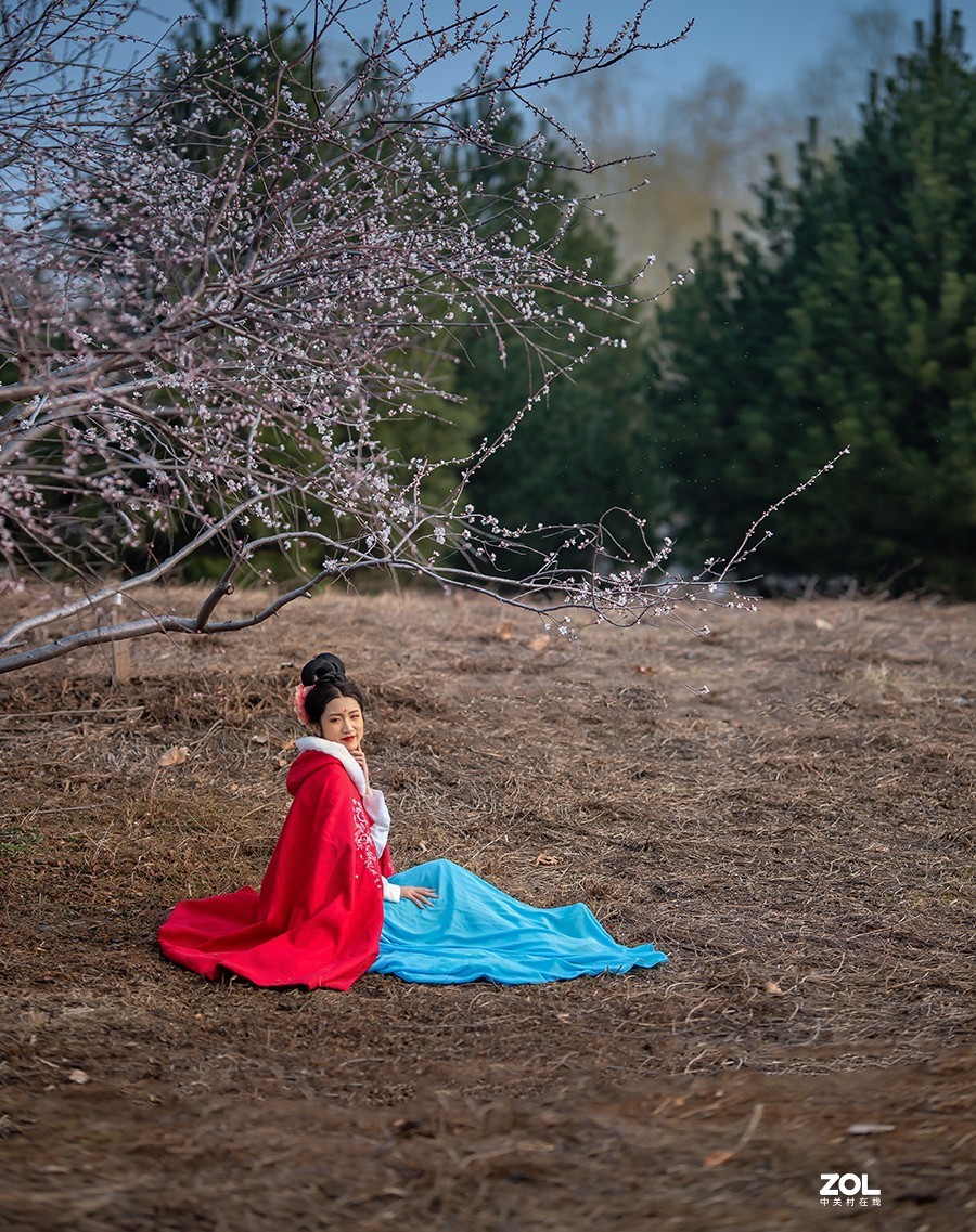 挑花依旧笑春风  【学拍环境人像】