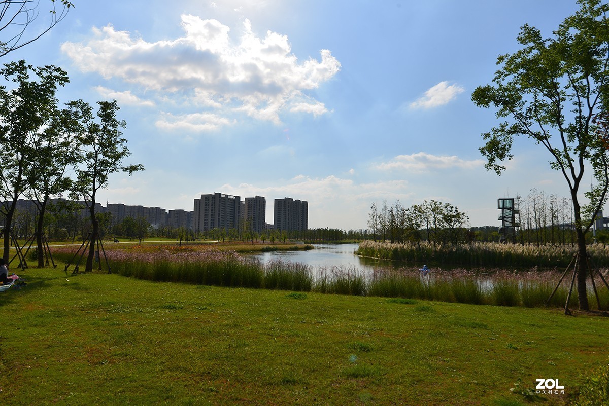 江东生态湿地公园