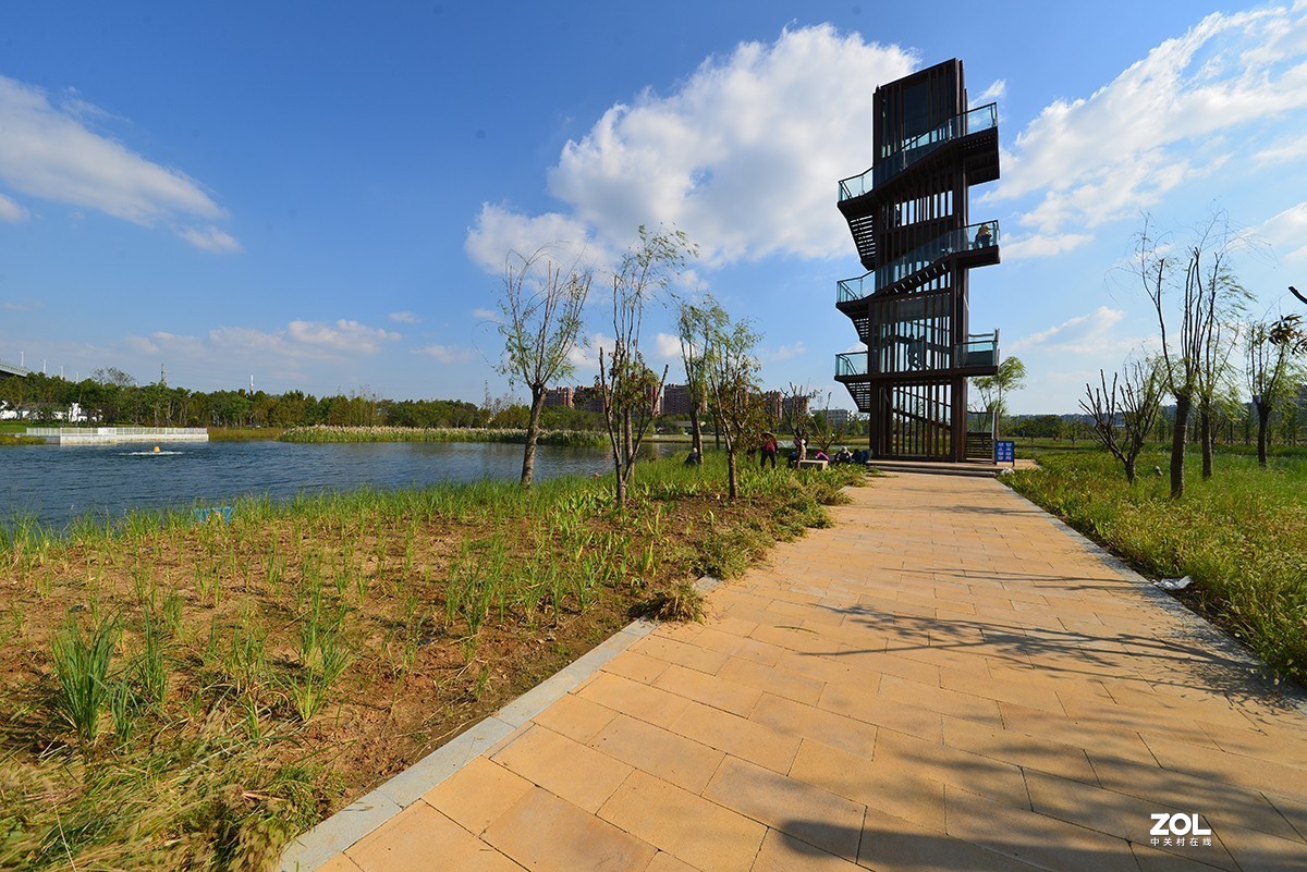 江东生态湿地公园