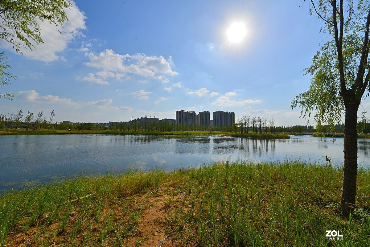 江东生态湿地公园