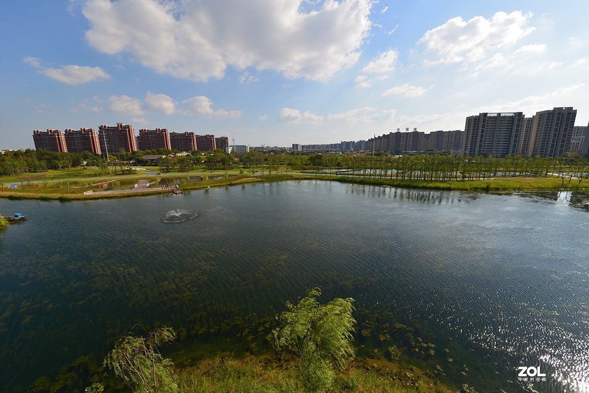 江东生态湿地公园