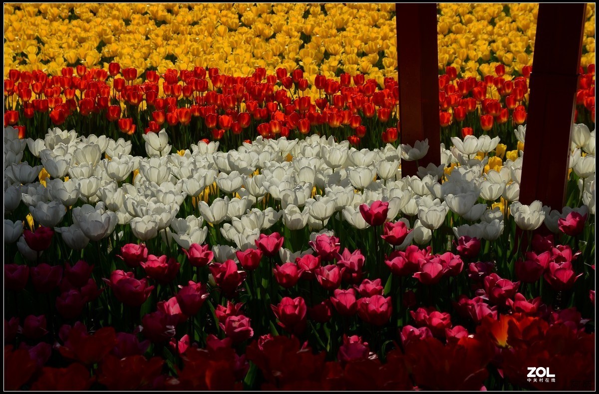 上海静安雕塑公园